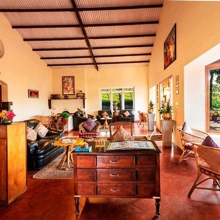 Teanest - Nature Resorts, Coonoor Utakamand Zewnętrze zdjęcie